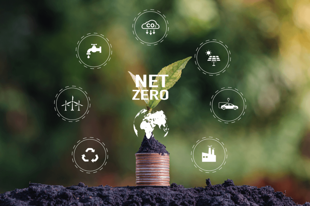 Carbon Accounting Software for Businesses in the UAE
